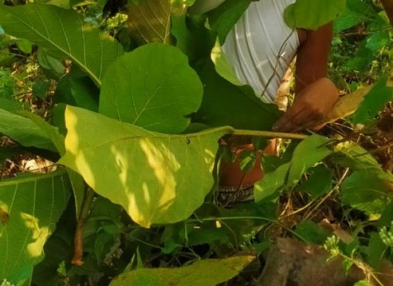 Amarpur youth’s dead body mysteriously recovered in Kanthalia, tension erupted Amarpur youth’s dead body mysteriously recovered in Kanthalia, tension erupted